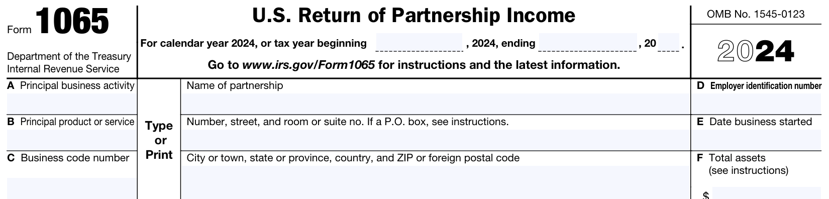 Form 1065 示例